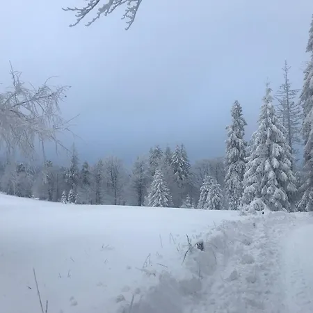 Апартаменты Z Kotem Бельско-Бяла