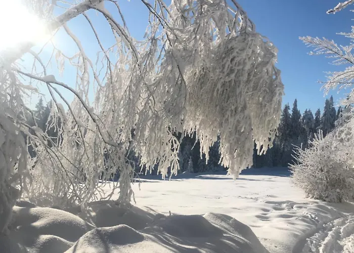 Z Kotem Apartament Bielsko-Biała