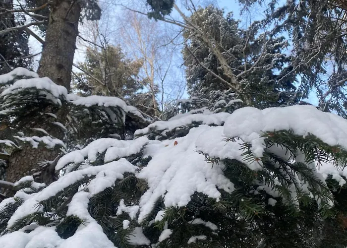 Z Kotem Bielsko-Biała